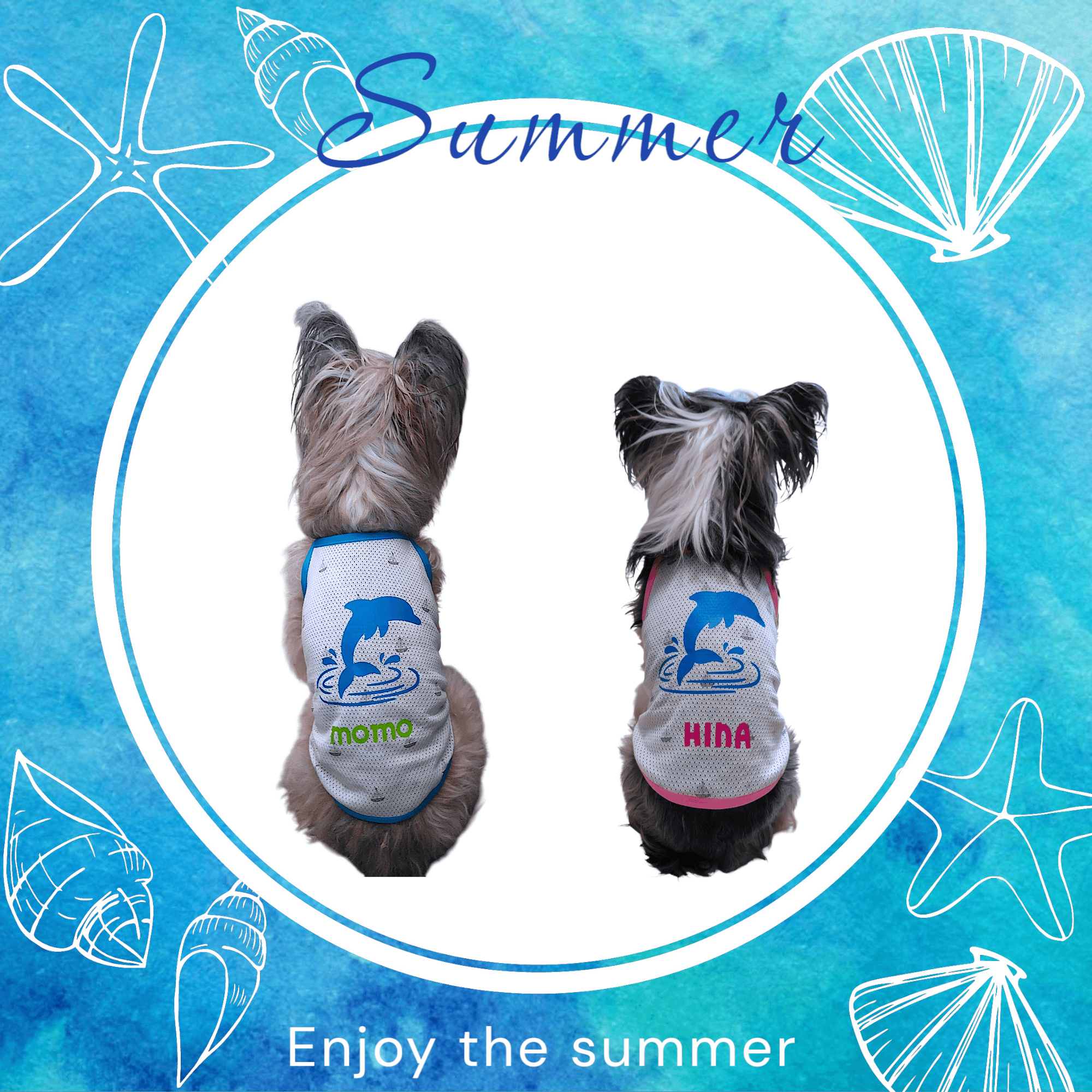 ドルフィンサマーキャミソール1枚目の画像