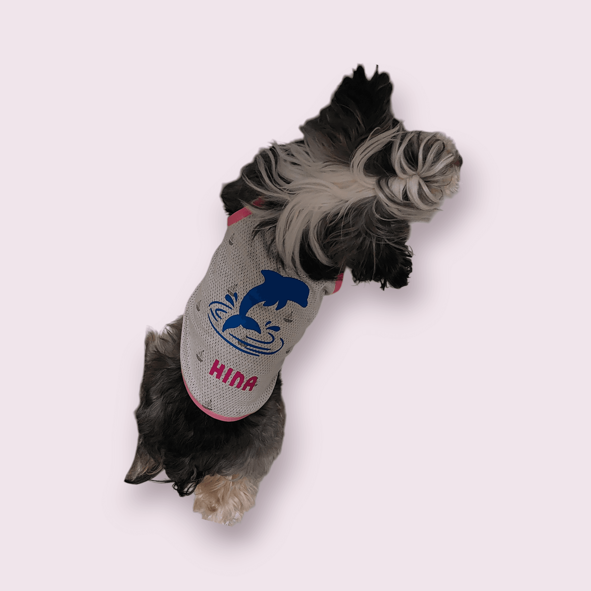 ドルフィンサマーキャミソール | 8枚目