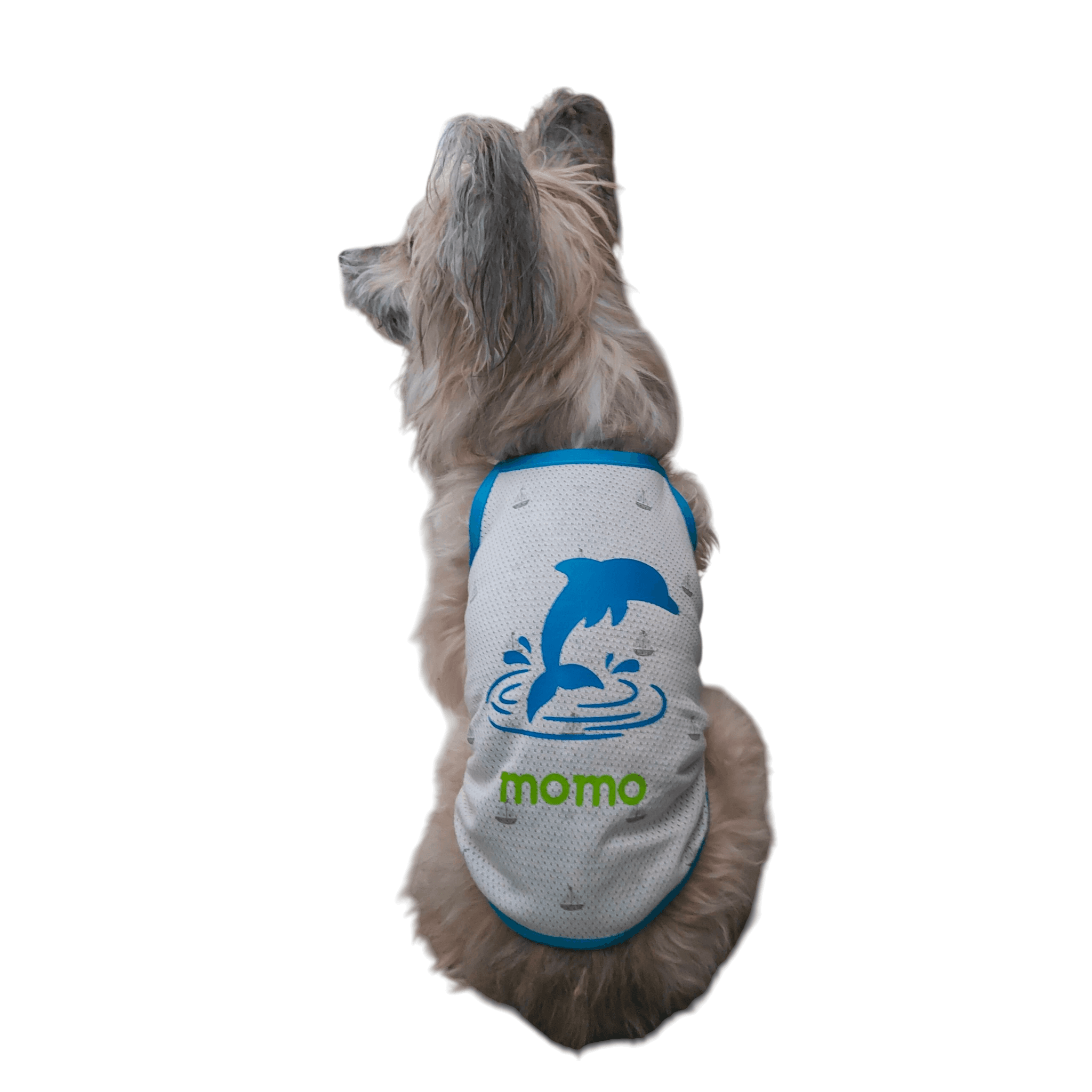 ドルフィンサマーキャミソール | 9枚目