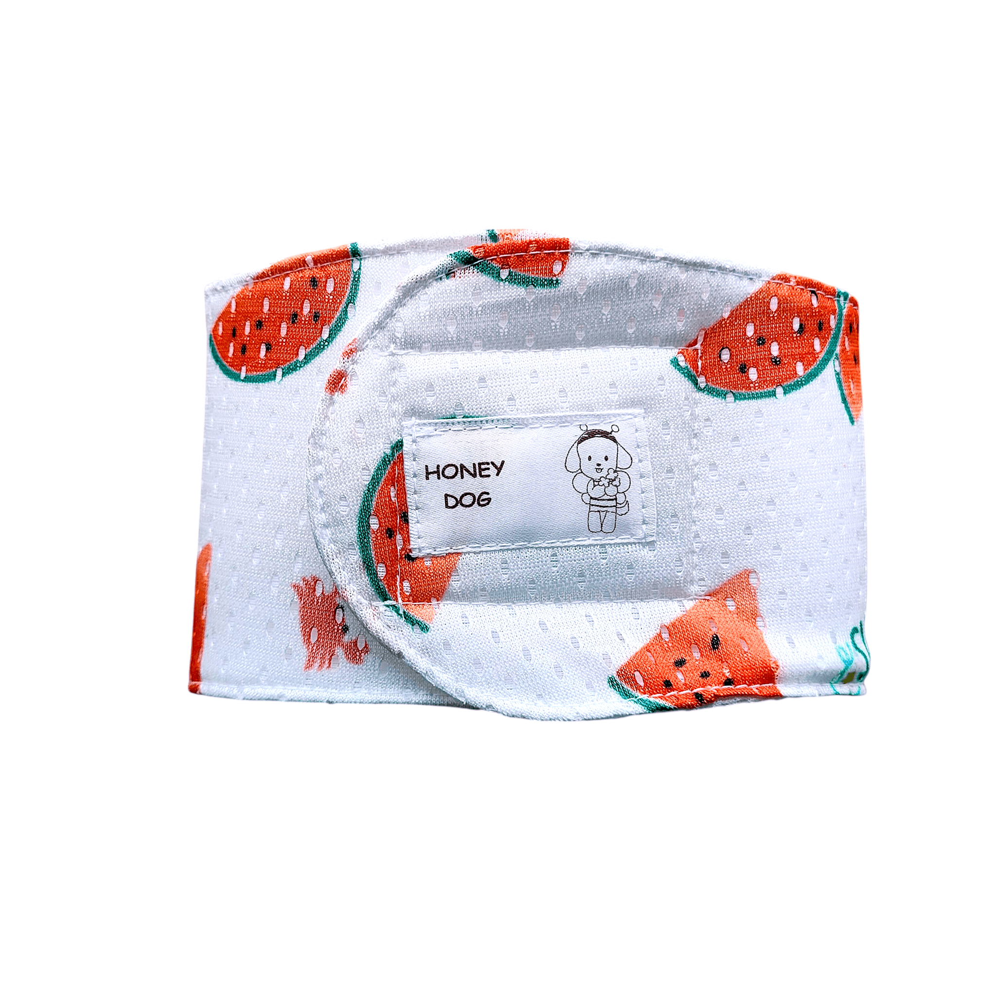 メッシュマナーベルト/スイカ1枚目の画像